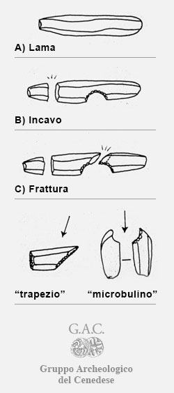 tecnica microbulino